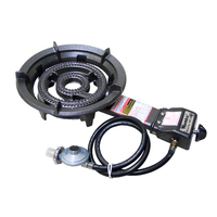 Large Auto Ignition Ring Burner - LP Gas