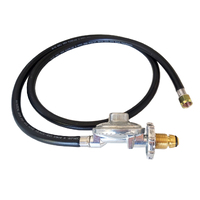 When should I replace my LP Gas hose?